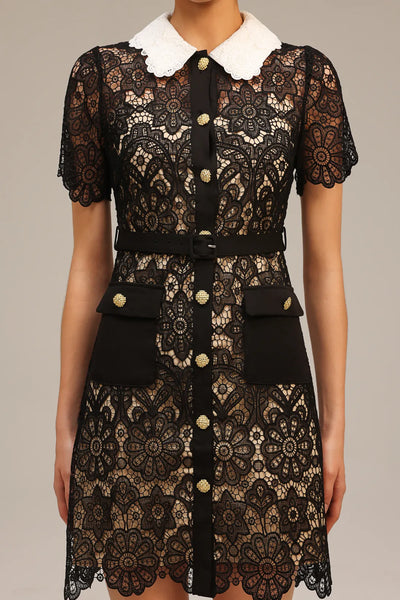 Kassy Yaka Kısa Kollu Dantel Mini Elbise