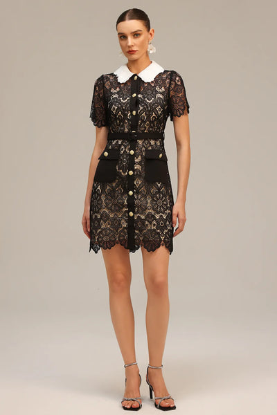 Kassy Yaka Kısa Kollu Dantel Mini Elbise