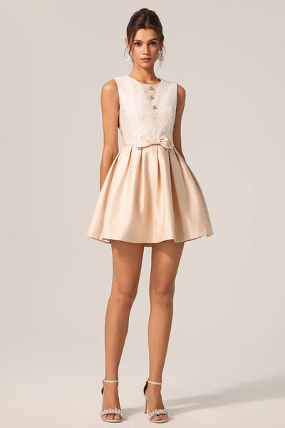 Frances Yuvarlak Yaka Kolsuz Çiçekli Dantel Mini Elbise