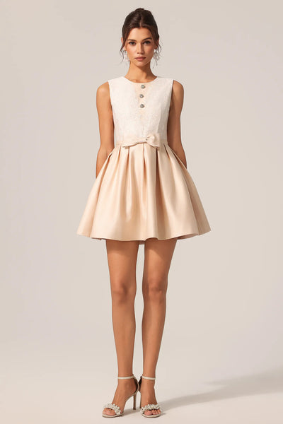 Frances Yuvarlak Yaka Kolsuz Çiçekli Dantel Mini Elbise