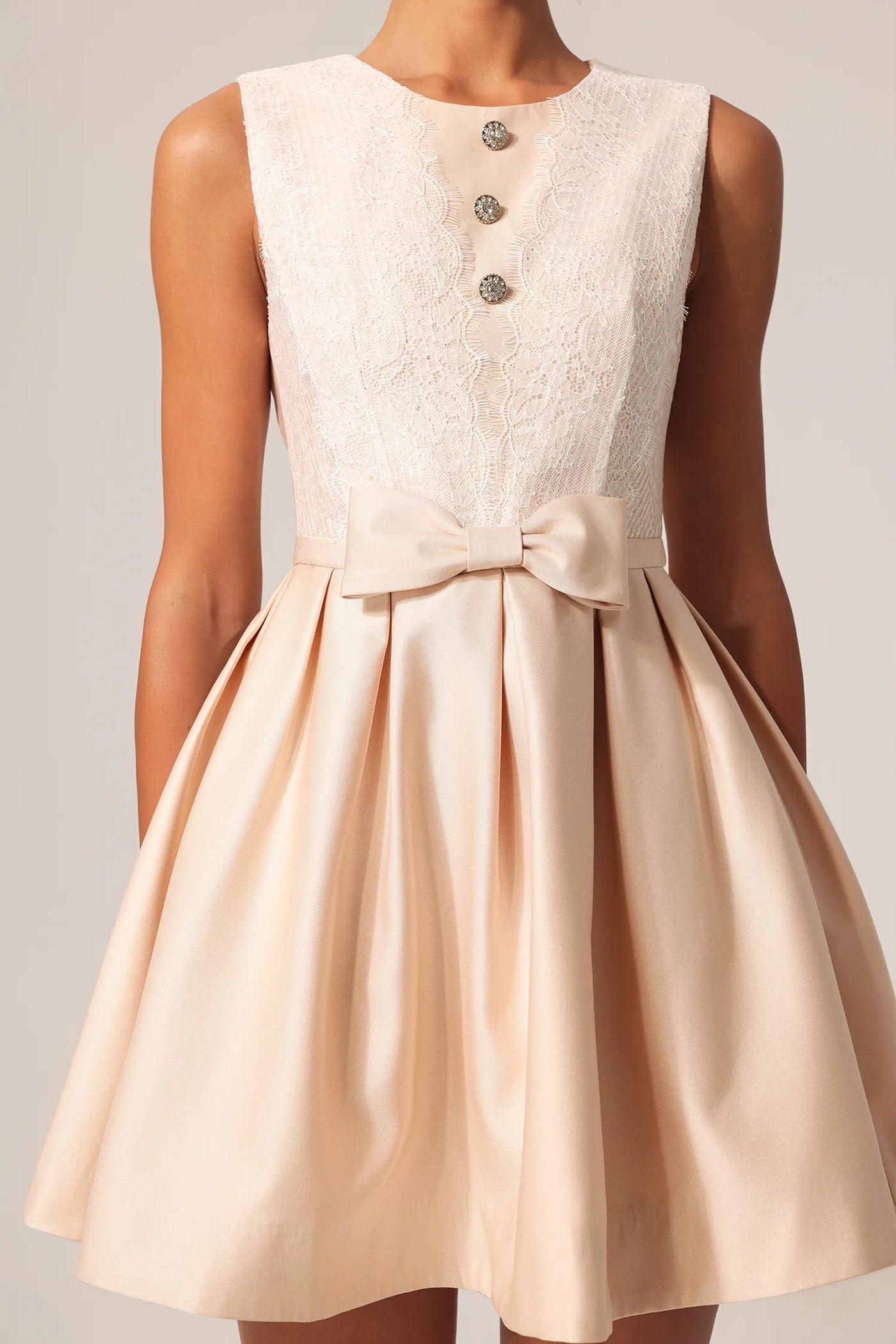 Frances Yuvarlak Yaka Kolsuz Çiçekli Dantel Mini Elbise