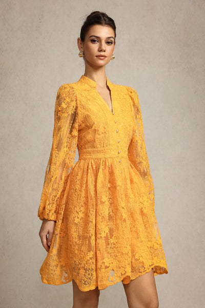 Mignon Nakışlı Dantel Mini Elbise