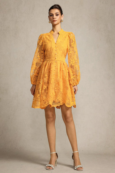 Mignon Nakışlı Dantel Mini Elbise