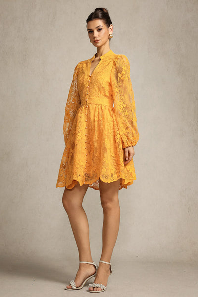 Mignon Nakışlı Dantel Mini Elbise