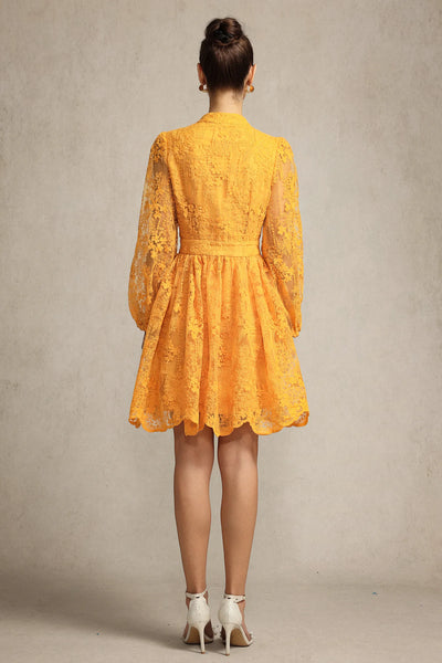 Mignon Nakışlı Dantel Mini Elbise