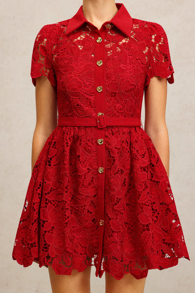 Unica Yaka Dantel Mini Elbise